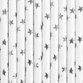 partydeco-slomki-papierowe-srebrne-gwiazdki-195-cm-10-szt