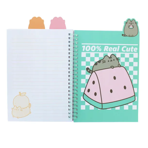 notes-ozdobny-a5-pusheen-purf6001-kolor-odcienie-rozu-wielokolorowy