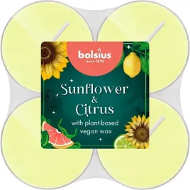 bolsius-8szt-maxi-podgrzewacz-zap-scs-127