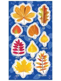 ranok-creative-naklejki-jesienne-liscie-zestaw-9-dekoracyjnych-naklejek