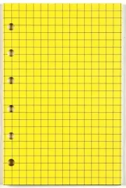 antra-wklad-do-organizera-a5-kratka-zolty-150x220-mm-folia