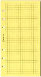 antra-wklad-do-organizera-st-kratka-zolty-20-kartek-103x180-mm