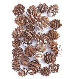 dalprint-dpcraft-mini-szyszki-bielone-25-g-ozdoby-dekoracyjne-15-30-mm