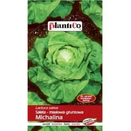 salata-michalina-plantico