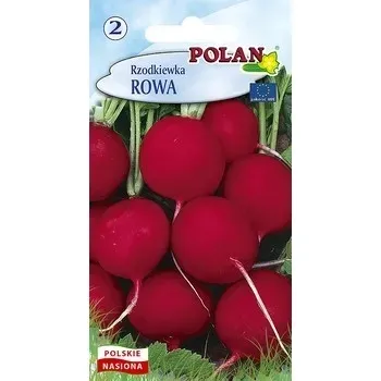 rzodkiewka-rowa-polan