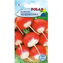 rzodkiewka-krakowianka-polan