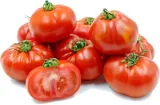 pomidor-marmande-polan-marka-polan