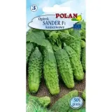 ogorek-sander-polan
