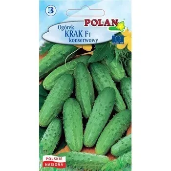 ogorek-krak-polan