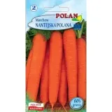 marchew-nantejska-polan