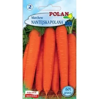 marchew-nantejska-polan