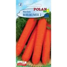 marchew-berlikumer-polan