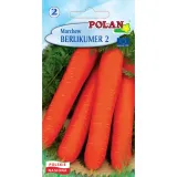 marchew-berlikumer-polan-rodzaj-rosliny-inny