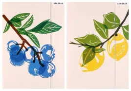starpak-teczka-a4-z-gumka-laminowana-fruits-kolorowa-z-planem-lekcji