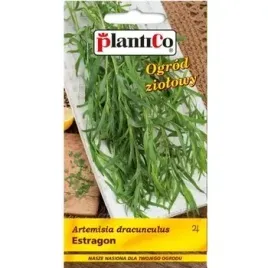 estragon-plantico