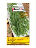 estragon-plantico-styl-ogrod-wiejski