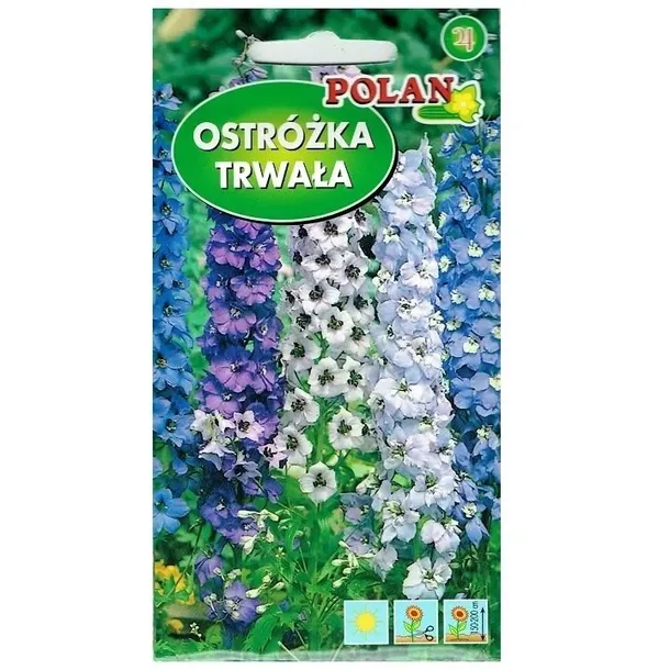 aster-chinski-igielkowy-mieszanka-styl-ogrod-wiejski