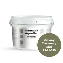 aqua-pro-emalia-akrylowa-szybkoschnaca-27l-zielony-trzcinowy-ral-6013-mat
