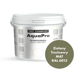 aqua-pro-emalia-akrylowa-szybkoschnaca-45l-zielony-trzcinowy-ral-6013-mat