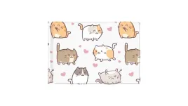 okladka-na-dokumenty-ucznia-biurfol-male-kittens-pvc-z-kieszonkami-id-1