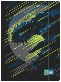 teczka-a4-z-gumka-st-majewski-dinosaur-300-g-m