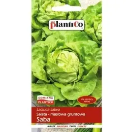 salata-saba