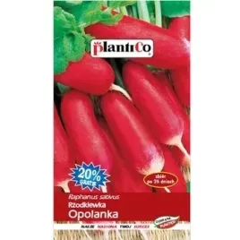 rzodkiewka-opolanka-plantico