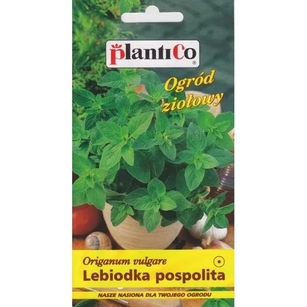 oregano-plantico-styl-ogrod-wiejski