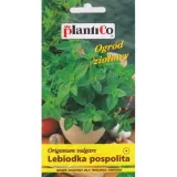 oregano-plantico-styl-ogrod-wiejski
