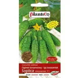 ogorek-konserwowy-soplica-f1-plantico