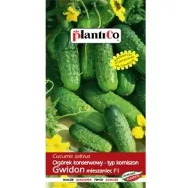 ogorek-konserwowy-gwidon-f1-plantico