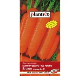 marchew-jadalna-broker-f1-plantico