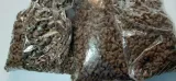 josera-sensicat-10kg-liczba-sztuk-w-opakowaniu-1-szt