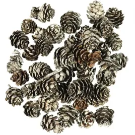 arpex-szyszki-modrzewiowe-osniezone-dekoracyjne-65-g