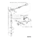 kolo-zebate-atakujace