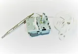 termoregulator-81381513