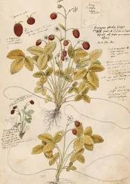 karnet-b6-skona-ting-z-koperta-poziomka-178127-mm-folia