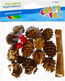 craft-with-fun-zestaw-naturalnych-szyszek-i-akcesoriow-17-szt