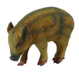 figurka-dinozaura-warchlak-jedzacy-collecta-realistyczna-replika-3