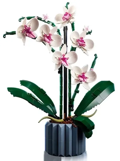 lego-icons-10311-orchidea-plec-chlopcy-dziewczynki
