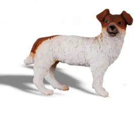 pies-jack-russell-terier