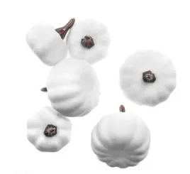 mini-dynie-dekoracyjne-biale-mix-6-sztuk-dalprint-dpcraft