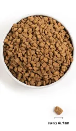 karma-dla-psow-malych-ras-orijen-small-breed-1-8-kg