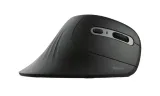 mysz-trust-verro-ergonomic-wireless-mouse-interfejs-usb-usb-radio-2-4-ghz