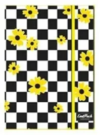 brulion-a5-z-gumka-80k-linia-coolpack-chess-flow