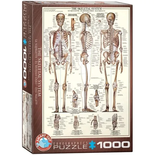 puzzle-1000-the-skeletal-system-6000-3970