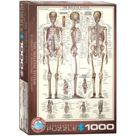 puzzle-1000-the-skeletal-system-6000-3970