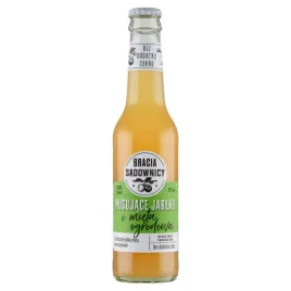 bracia-sadownicy-napoj-musujace-jablko-i-mieta-ogrodowa-275-ml