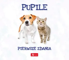 pierwsze-zdania-pupile-wojciech-baturo