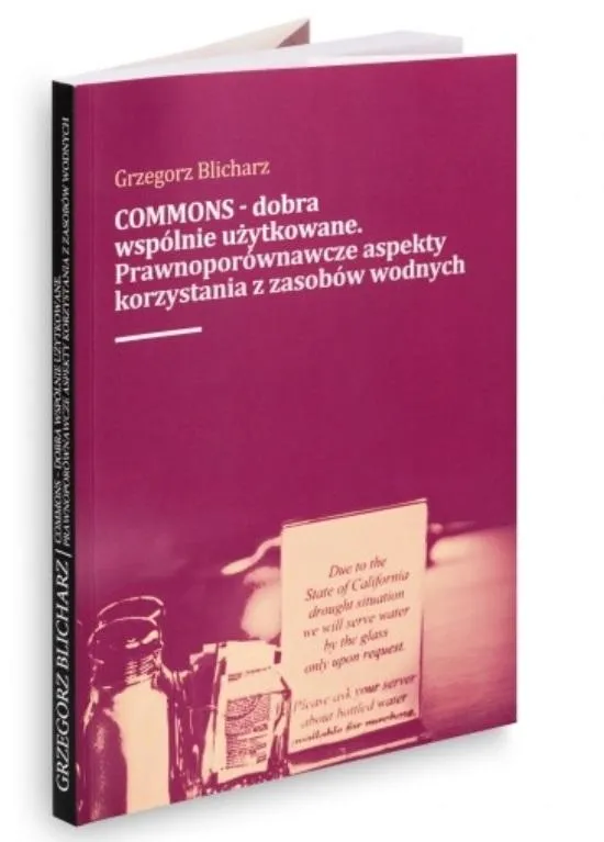 commons-dobra-wspolnie-uzytkowane